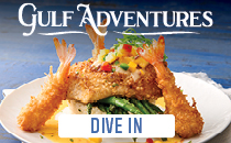 Gulf Adventure
