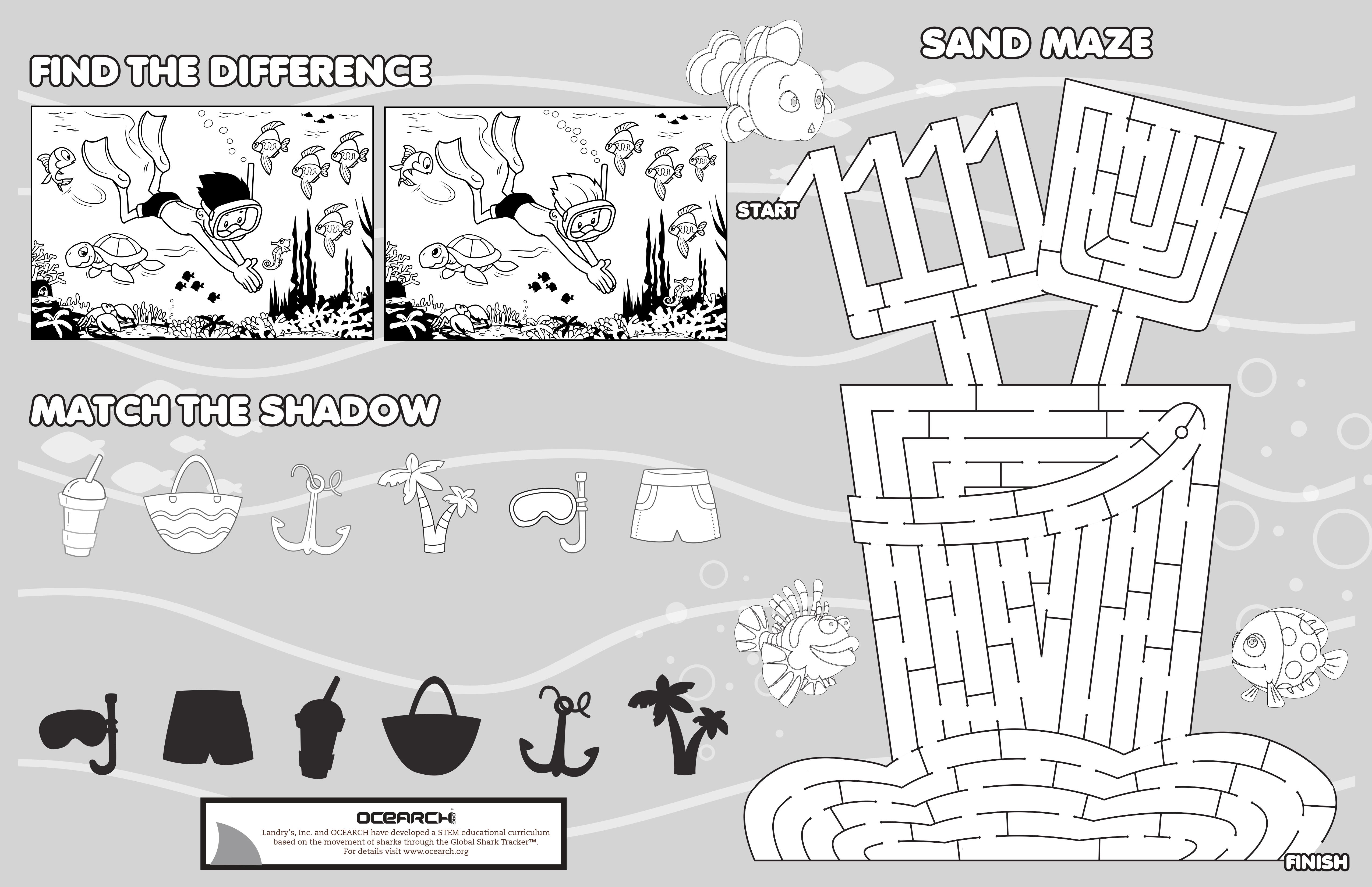 Printable Activity Sheet