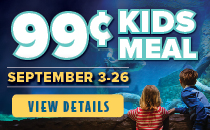 99 Cents Kids Meal