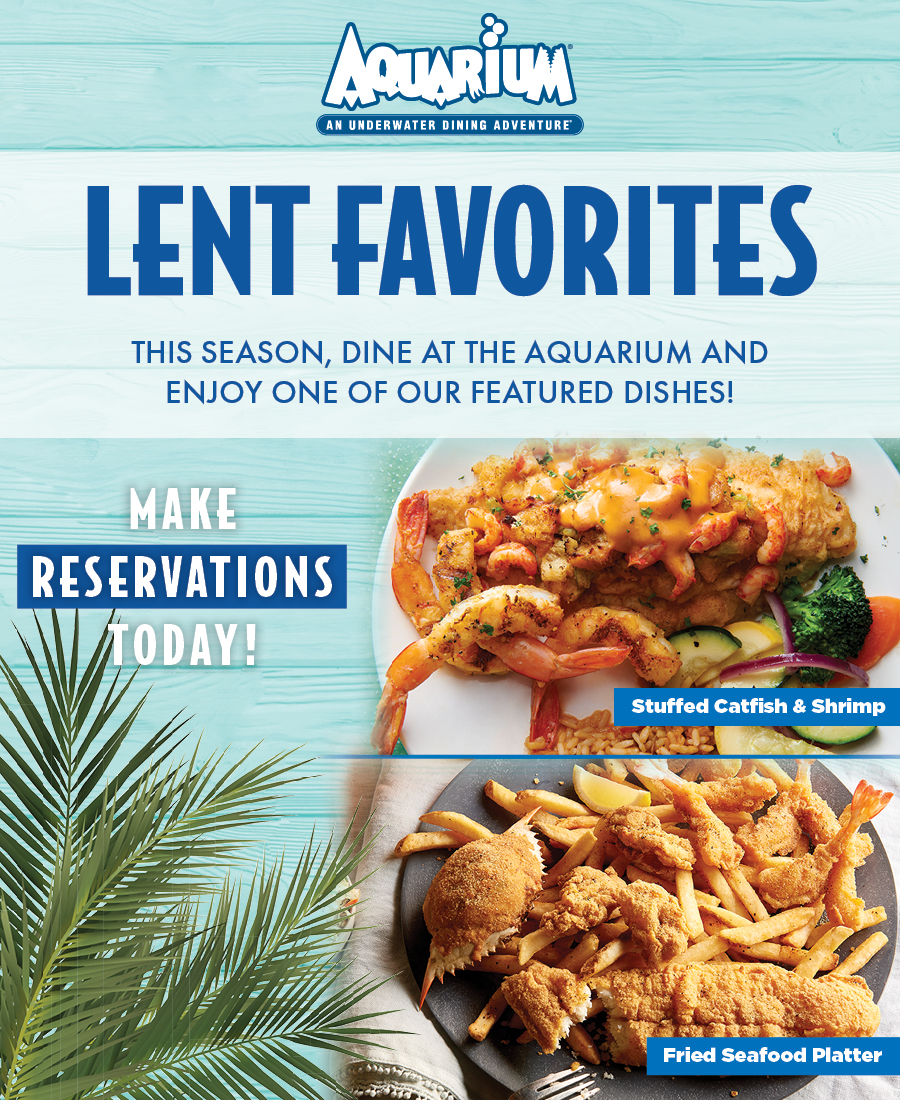 Lent - Features