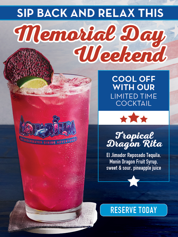Memorial Day Special